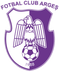 FC Argeș